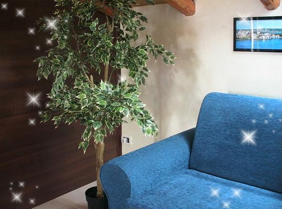 B&B Suite فياغراندي المظهر الخارجي الصورة
